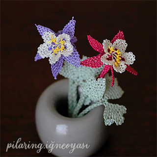 内巻き距(きょ)のオダマキ